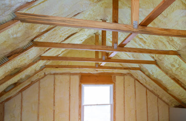 Best Insulation Installation Services in Paisley, FL