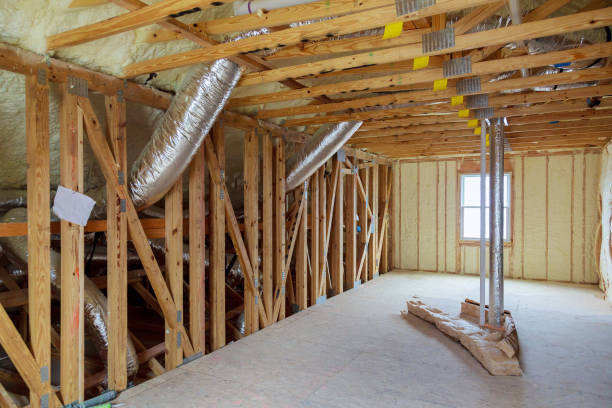 Best Commercial Insulation in Paisley, FL