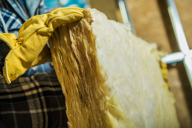 Best Insulation for Specific Applications in Paisley, FL