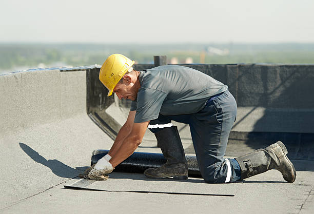 Best Specialty Insulation in Paisley, FL