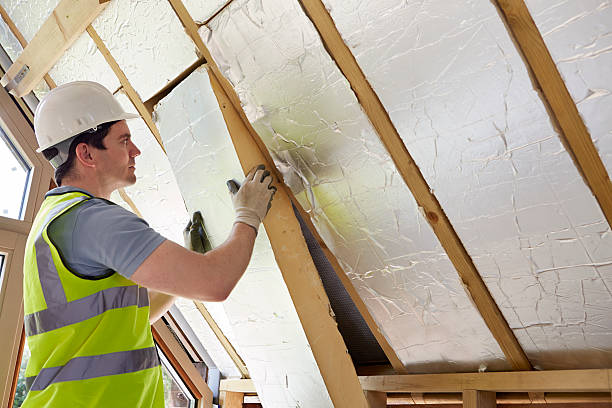 Best Types of Insulation in Paisley, FL