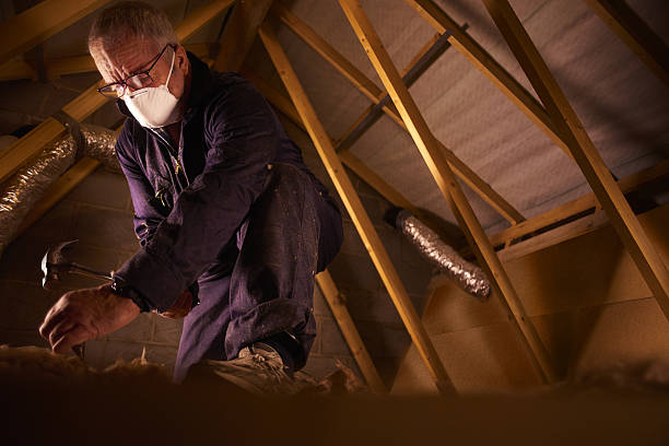 Best Residential Insulation in Paisley, FL